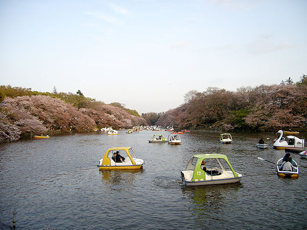 080406_inokashirapark.jpg